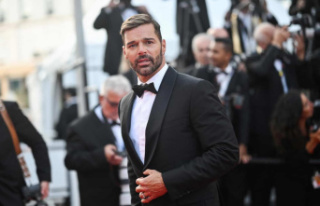 Accused of domestic violence and incest, Ricky Martin...