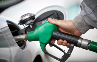 Nova Scotia cuts pump price by more than 10 cents