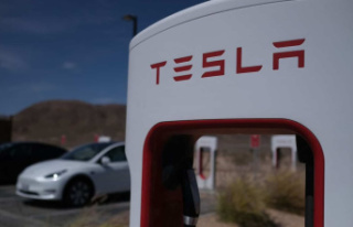 Cameras and privacy, Tesla implicated in Germany over...