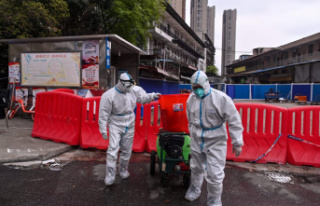 The pandemic did indeed begin in the Wuhan market,...