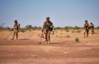 EU aid of 25 million euros for the army of Niger