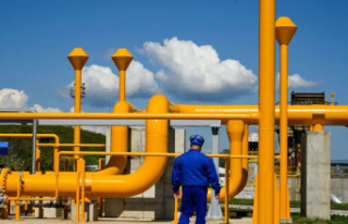 Drop in gas deliveries: Europe must free itself from...