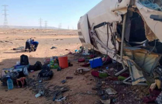 Egypt: 22 dead in a bus accident (official)