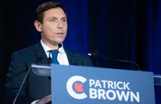 Conservative Party leadership: Patrick Brown knew...