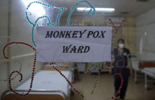 Second death of a patient infected with monkeypox...