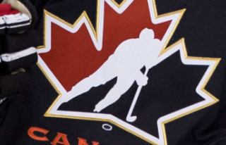Seven players declined to participate in Hockey Canada's...