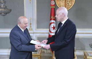 Tunisia: Saied defends his controversial draft constitution