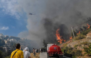 Greece: A forest fire threatens a large olive grove...