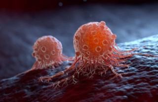 The Nightlife of Cancer Metastases