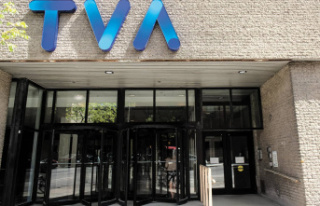Decline in profits and revenues for TVA Group