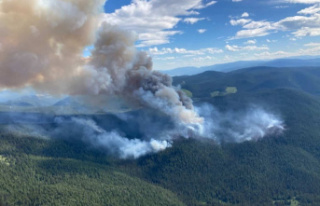 Wildfires in British Columbia: 200 additional residences...