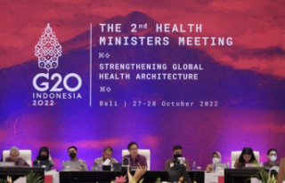 STATEMENT: The meeting of the G20 Health Ministers...