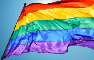 Russia toughens 'LGBT propaganda' law