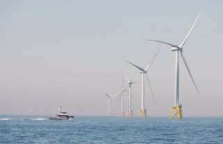 Iberdrola asks to review the conditions of an offshore...