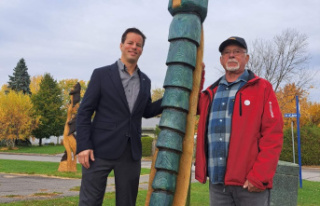 Emerald ash borer: Turning diseased trees into works...