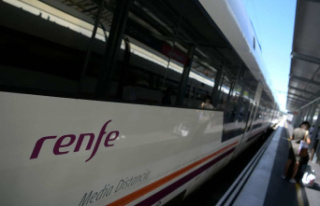 22 rowdy children expelled from a train in Spain
