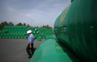 BP buys the biogas company Archaea for more than 42,000...