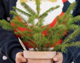 RELEASE: Green Christmas Gifts: A Pencil and Plantable...