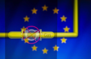 The EU seeks this Thursday an agreement on the gas...