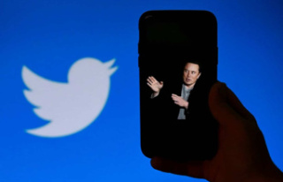 Elon Musk alone at the controls of Twitter