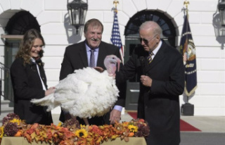 The US celebrates the most expensive Thanksgiving...