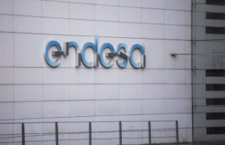 Endesa foresees the distribution of up to 5,390 million...