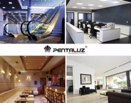 STATEMENT: PENTALUZ consolidates its growth while...