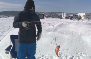 Saguenay: Increase for outfitters who offer fishing...
