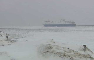 The Matane-Godbout ferry out of service until further...
