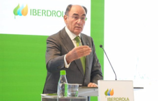 Iberdrola, the only European 'utility' included...