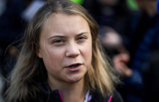 Environmental debate: Greta Thunberg's repartee...