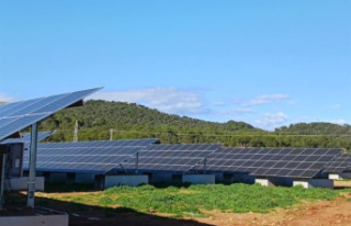 Endesa commissions the new Ca Na Lloreta solar plant...