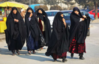 G7 urges Taliban to reverse ban on women in NGOs