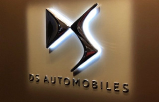 DS will grow 11% in the Spanish market in 2023 and...