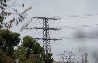 The price of electricity plummets on Christmas Day...