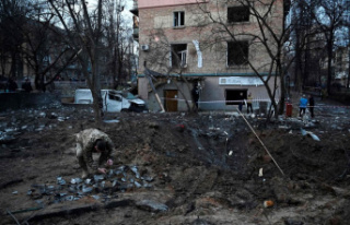 Ukraine: Russian New Year strikes leave four dead...