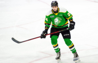 Ontario Hockey League: Logan Mailloux suspended
