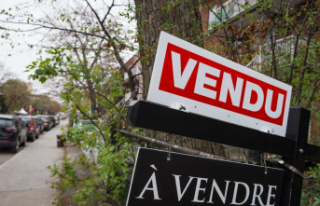 Foreign investors can no longer buy homes in Canada