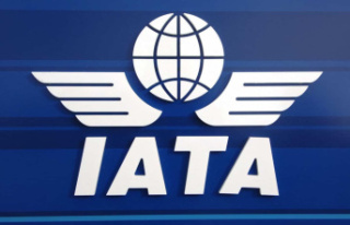 Covid tests on travelers from China: Iata denounces...