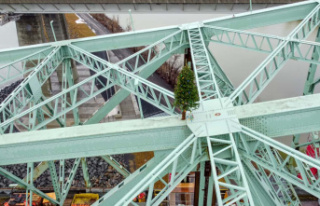 A fir tree appears on the Champlain Bridge, as if...