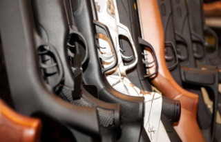 Torontonian faces jail for importing gun parts