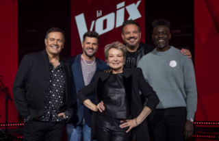 "The Voice": coaches ready for the competition