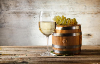 Four good dry and fresh white wines