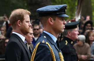 Prince Harry accuses brother William of physically...