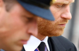 Prince Harry wants to reconcile with Prince William...