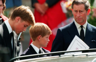Prince Harry begged his father not to marry Camilla