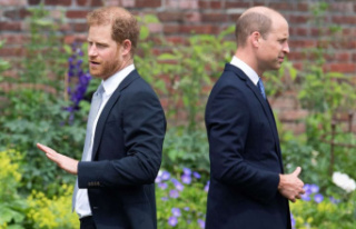 William and Harry: reconciliation seems impossible...