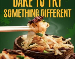 COMUNICADO: Dare to eat for good with Knorr this 'World...