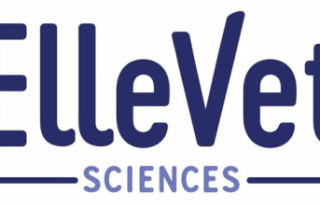RELEASE: ElleVet Sciences, America's Leading...