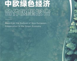 STATEMENT: Xinhuanet Europe publishes a report on...